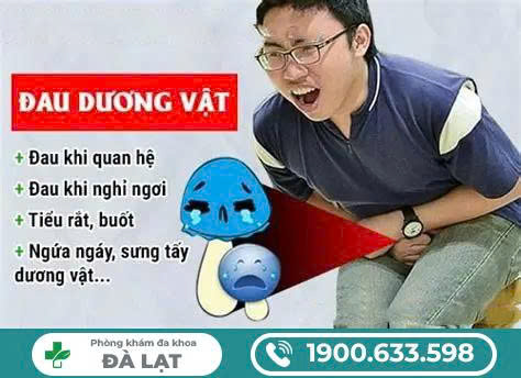 Hình ảnh minh họa